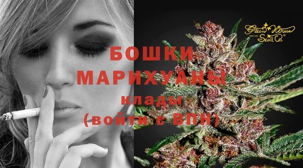 стафф Коряжма