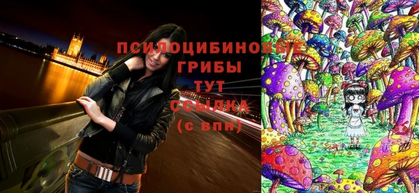 крисы Костерёво