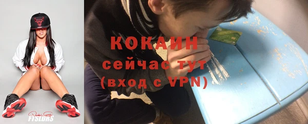 стафф Коряжма