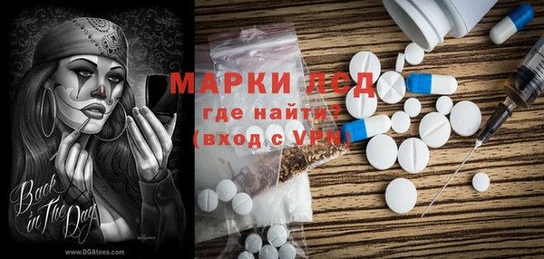 стафф Коряжма