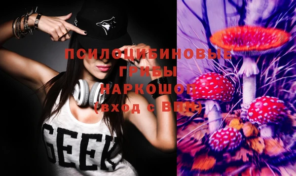 стафф Коряжма