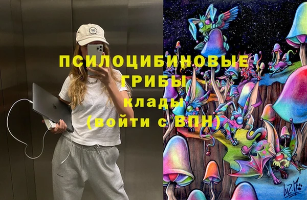 стафф Коряжма