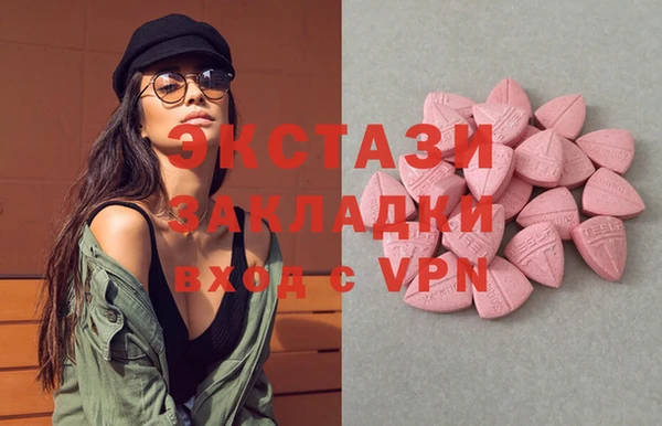 ECSTASY Ельня