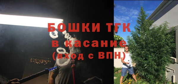 стафф Коряжма